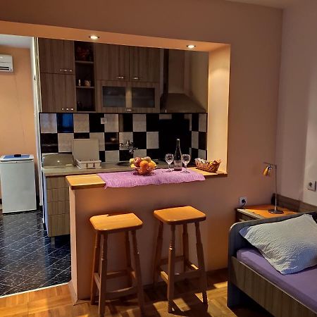 Apartman Ristic Niska Banja Esterno foto